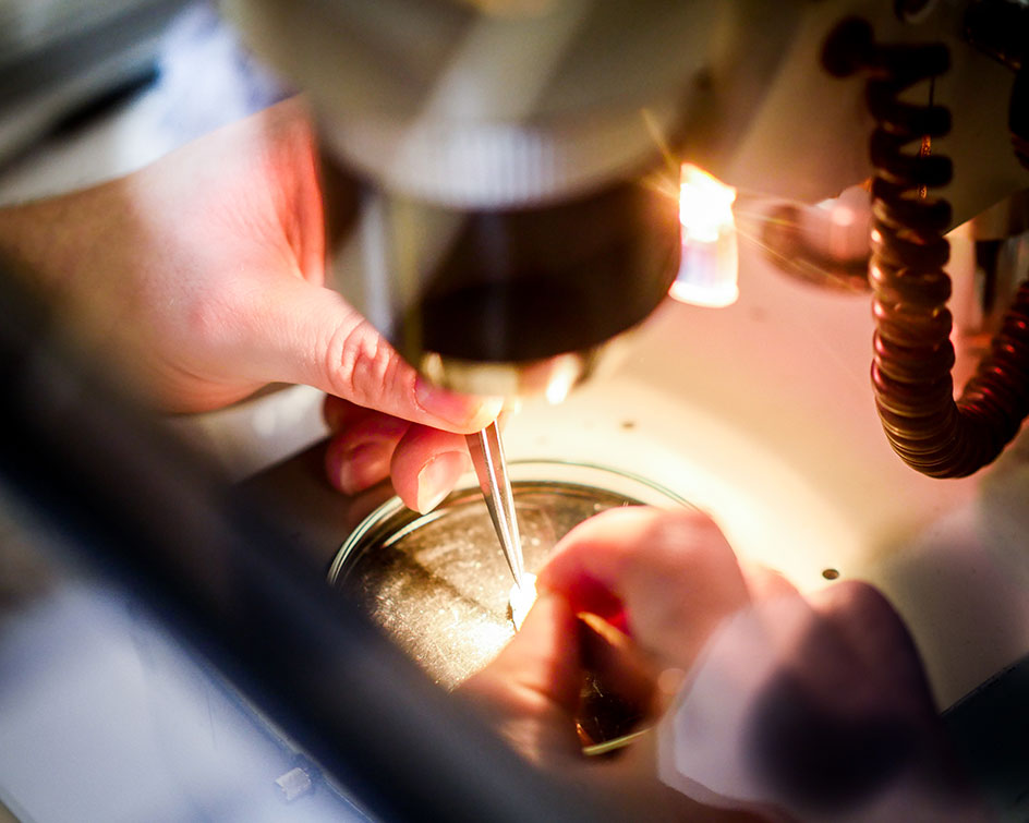 LDC invests £20m to support Shield Group International’s global growth ambitions