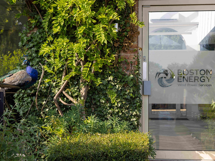 Boston Energy Targets Growth in Wind Power