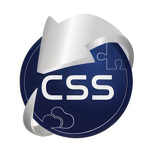 CSS Europe logo